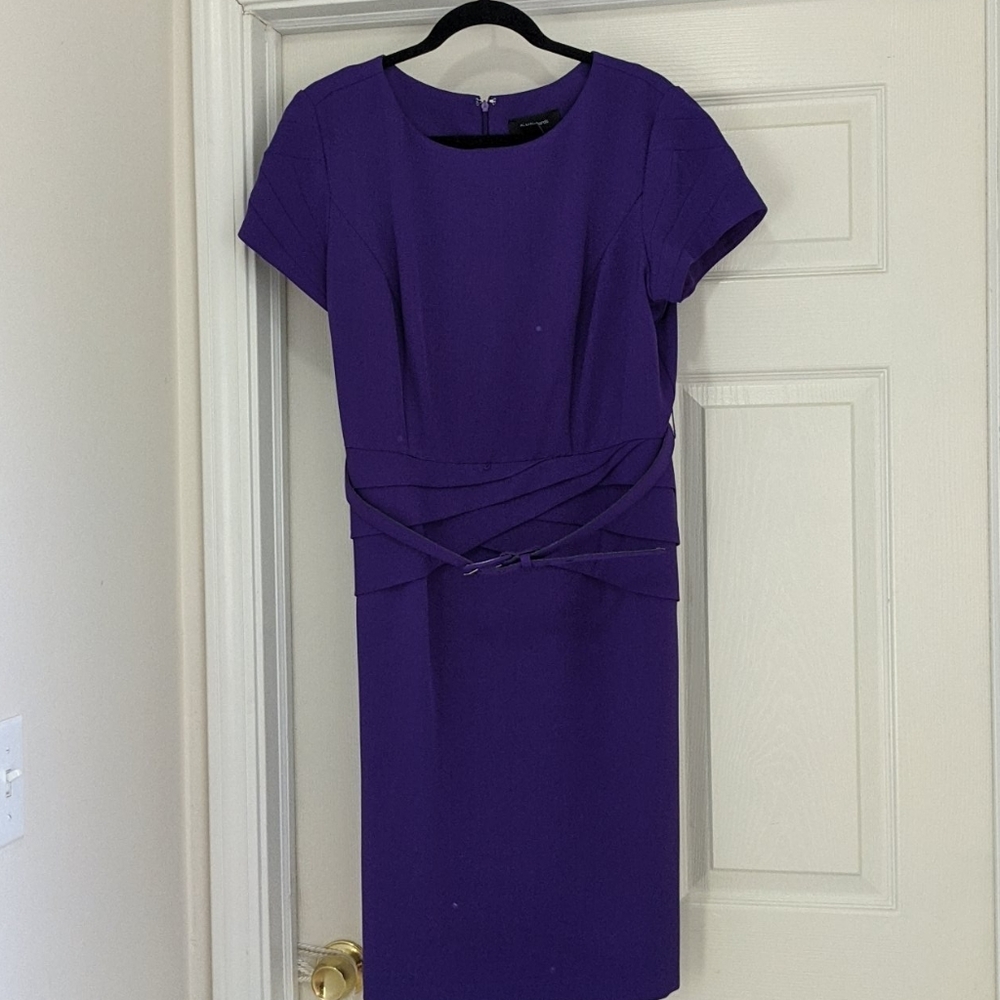 R&M Richards Career Professional Dress with belt